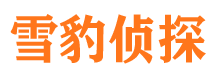 方城市婚姻出轨调查